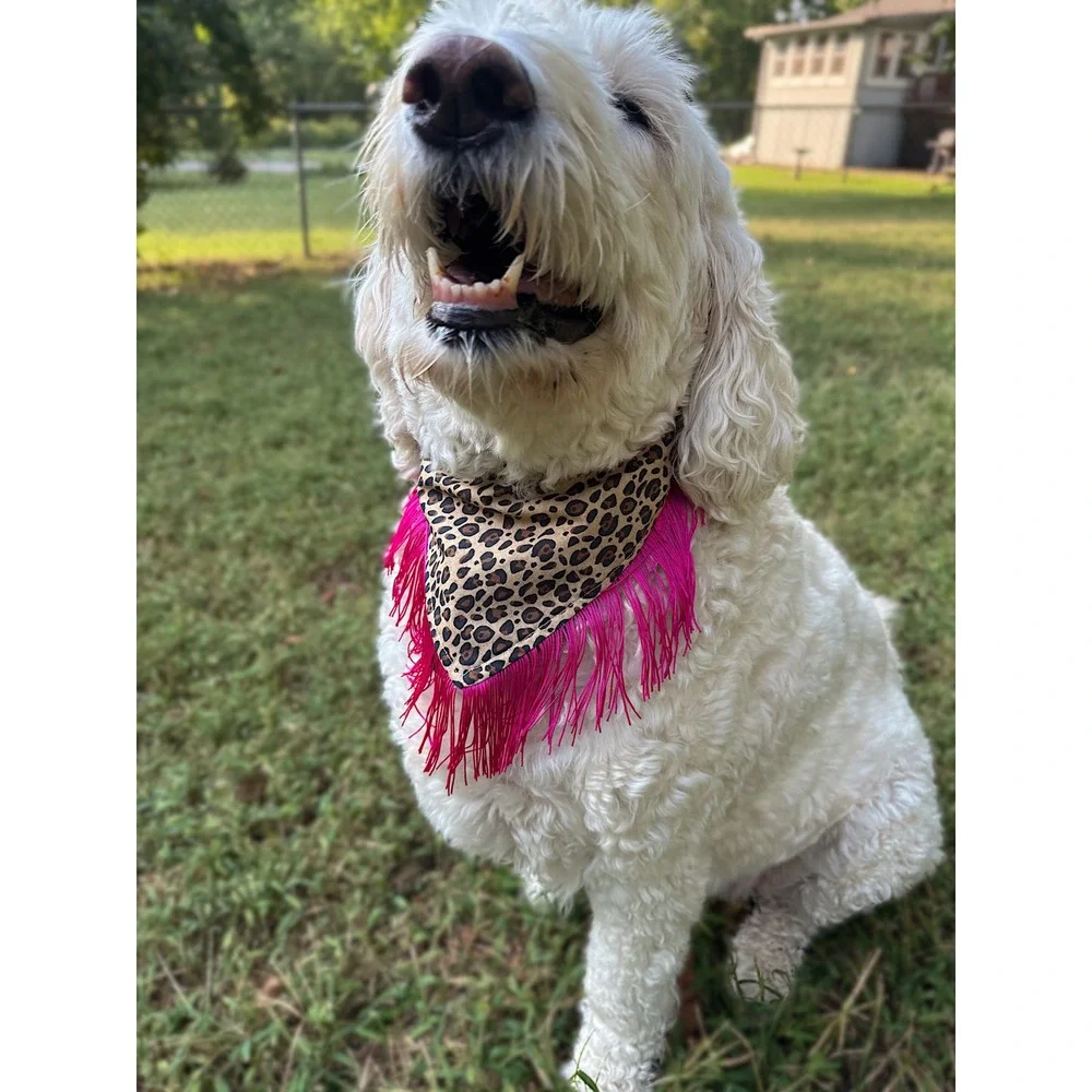 Honky Tonk Hottie Leopard Fringe Dog Bandana Pink Western Handmade Pet Accessory